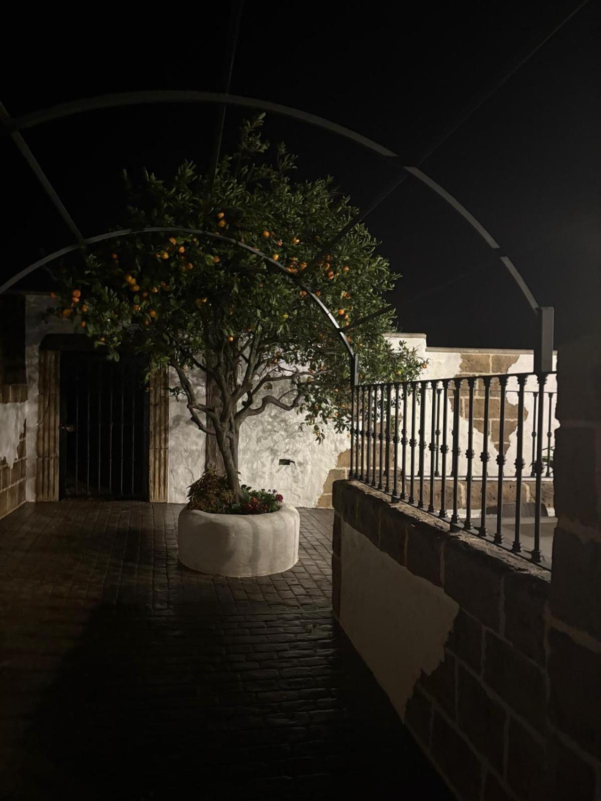 Jiguera Apartment *